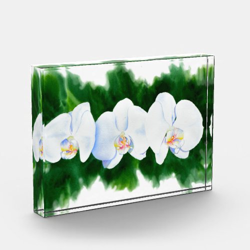 Elegant tropical white watercolor orchid painting  acrylic award