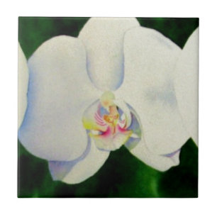Elegant tropical white watercolor orchid painting ceramic tile