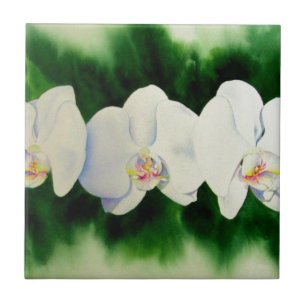 Elegant tropical white watercolor orchid painting ceramic tile