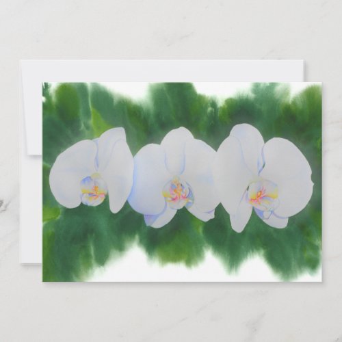 Elegant tropical white watercolor orchid painting  invitation