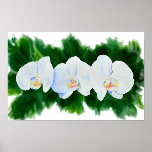 Elegant tropical white watercolor orchid painting poster