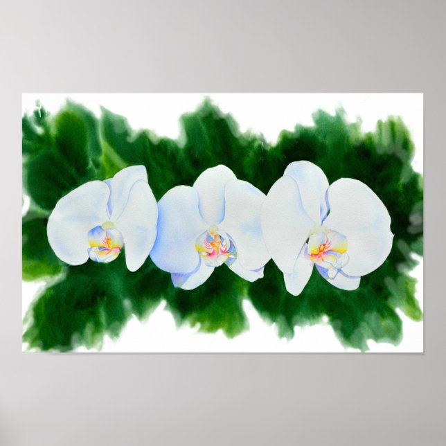 Elegant tropical white watercolor orchid painting poster (Front)