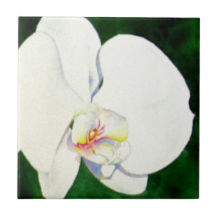 Elegant tropical white watercolor orchid painting tile