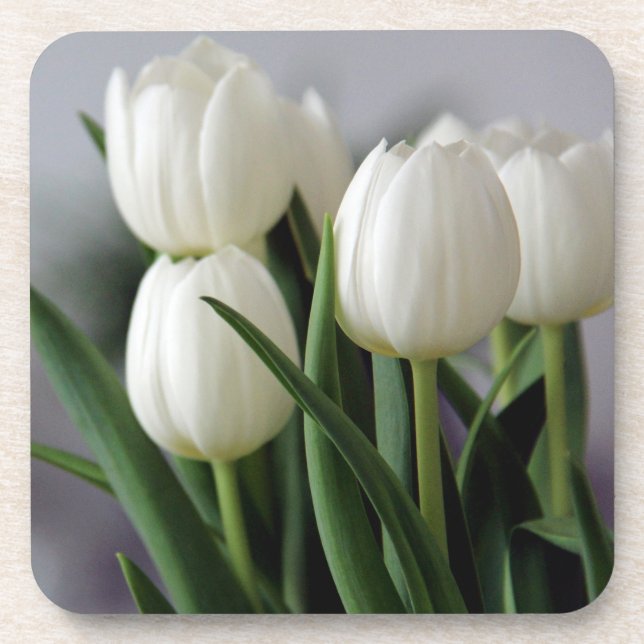 Elegant Tulip and Rose Floral Flowers Photography Beverage Coaster (Front)