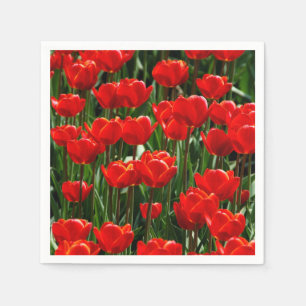 Elegant Tulip and Rose Floral Flowers Photography Napkins