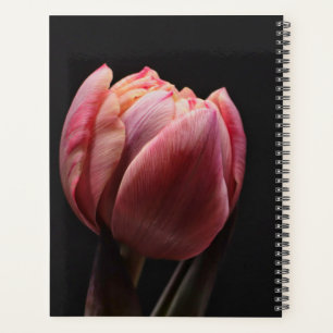 Elegant Tulip and Rose Floral Flowers Photography Planner