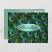 elegant turquoise peacock Thank you Postcard (Front/Back)