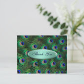 elegant turquoise peacock Thank you Postcard (Standing Front)
