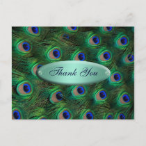 elegant turquoise peacock Thank you Postcard