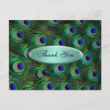 elegant turquoise peacock Thank you Postcard