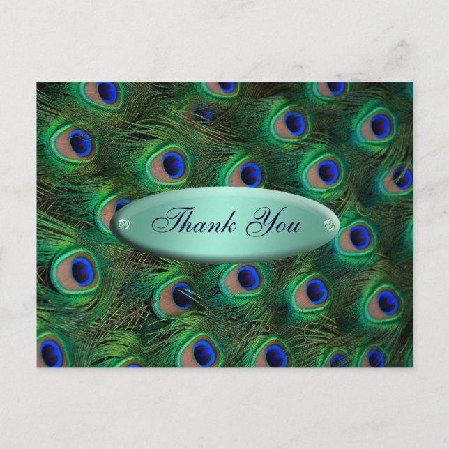 elegant turquoise peacock Thank you Postcard (Front)