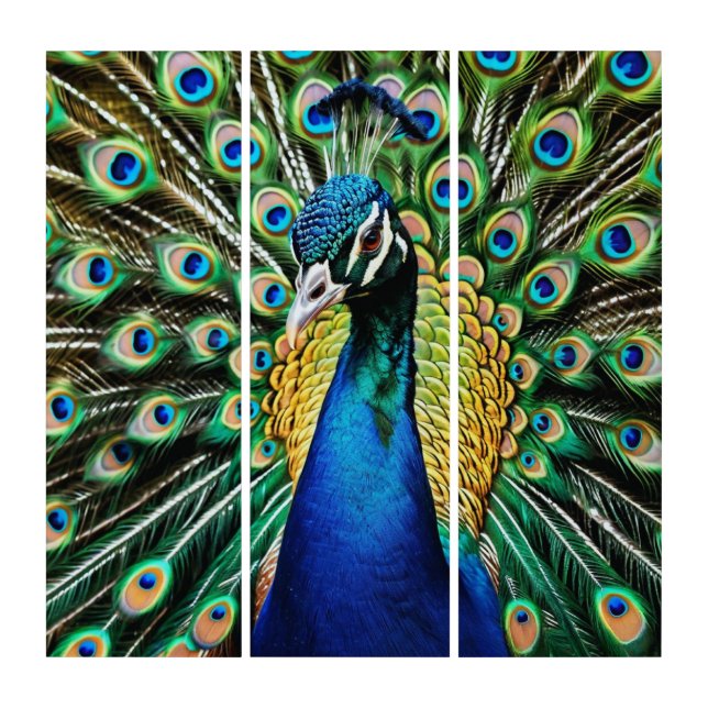 Elegant Turquoise Stylish Beautiful Peacock Bird Triptych (Front)