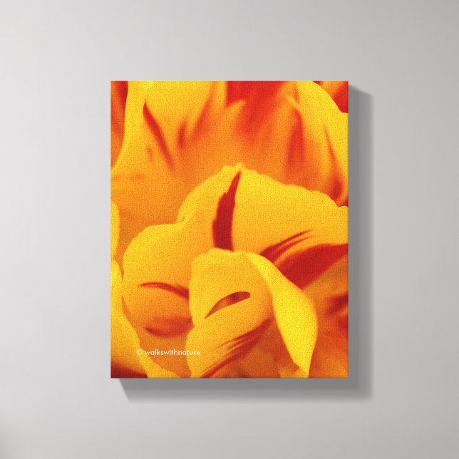 Elegant Two-Tone Red Gold Monsella Tulip Canvas Print (Front)