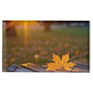 Elegant & verstile addition to any table setting   place card holder