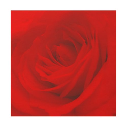 Elegant Vibrant Red Rose Aesthetic Chic Romantic Wood Wall Art