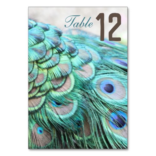 Elegant Vibrant Teal Peacock Feather Wedding Table Number