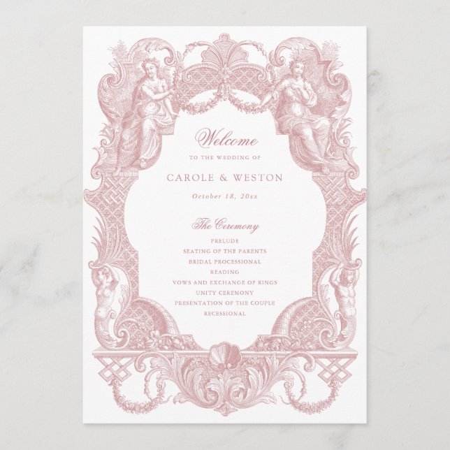 Elegant Vintage Baroque Frame Dusty Rose Toile Program (Front)