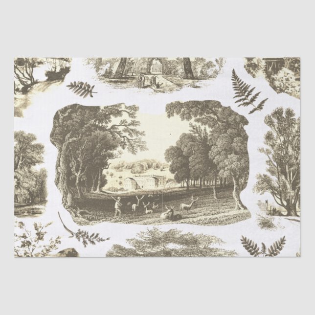 Elegant Vintage Beige Country French Toile Tissue Paper (Front)