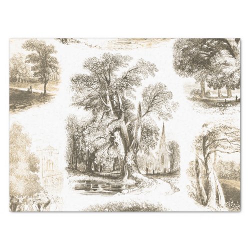 Elegant Vintage Beige French Country Toile Tissue Paper