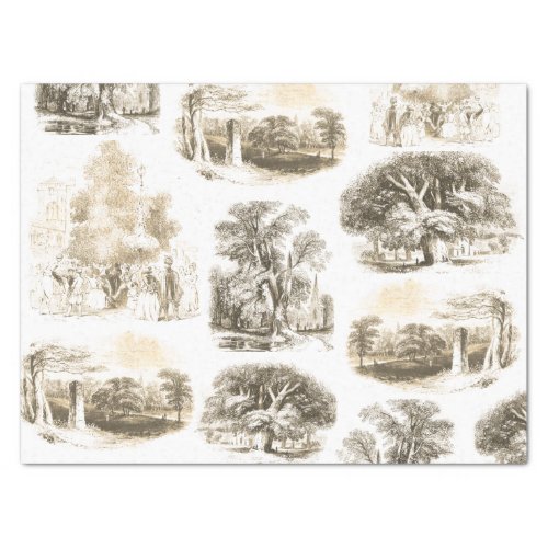 Elegant Vintage Beige Gold French Country Toile Tissue Paper
