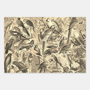 Elegant Vintage Beige Tropical Birds Parrots Wrapping Paper Sheets
