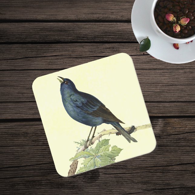 Elegant Vintage Black Bird Yellow Square Paper Coaster (Pretty singing black bird on branch caterpillar leaves on yellow paper drink coaster.)