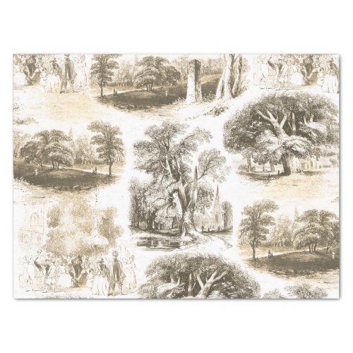 Elegant Vintage Black White Beige English Country Tissue Paper