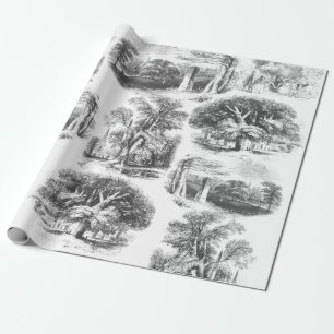 Elegant Vintage Black White English Country Toile Wrapping Paper