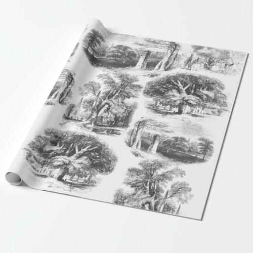 Elegant Vintage Black White English Country Toile  Wrapping Paper