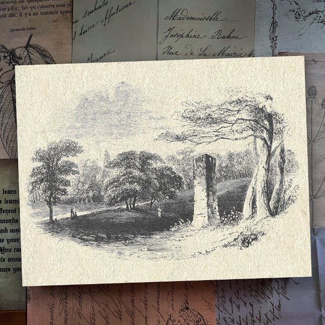 Elegant Vintage Black White English Countryside Postcard (Creator Uploaded)