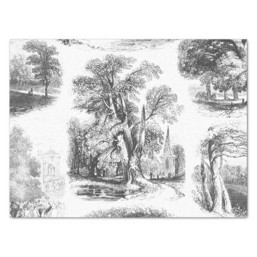 Elegant Vintage Black White French Country Toile Tissue Paper