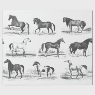 Elegant Vintage Black White Toile Horse Breeds Wrapping Paper