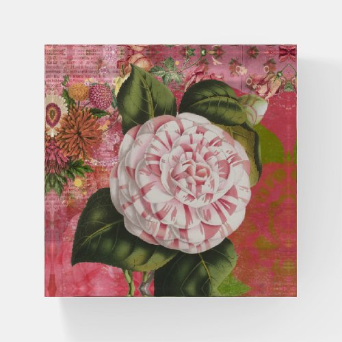 Elegant Vintage Botanical Camellia for Gardener Paperweight