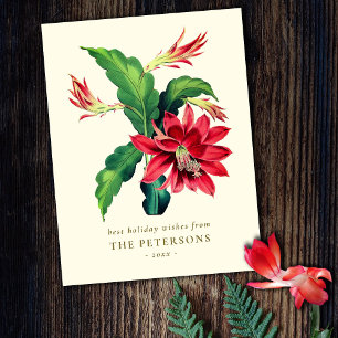 Elegant Vintage Botanical Christmas Cactus Flower Postcard