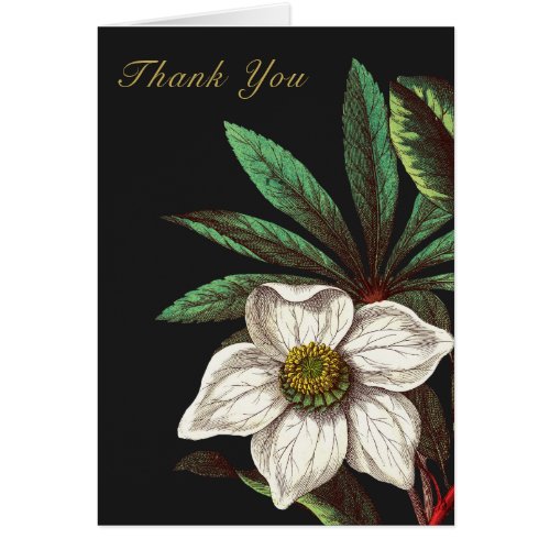 Elegant Vintage Botanical Christmas Rose Flower