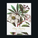 Elegant Vintage Botanical Christmas Rose Flower<br><div class="desc">Vintage botanical Illustration of winter flowers bouquet with Christmas rose Helleborus niger,  and Lauristinus,  very elegant,  sophisticated and classy artwork,  with editable name and message</div>