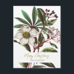 Elegant Vintage Botanical Christmas Rose Flower<br><div class="desc">Vintage botanical Illustration of winter flowers bouquet with Christmas rose Helleborus niger,  and Lauristinus,  very elegant,  sophisticated and classy artwork,  with editable name and message</div>