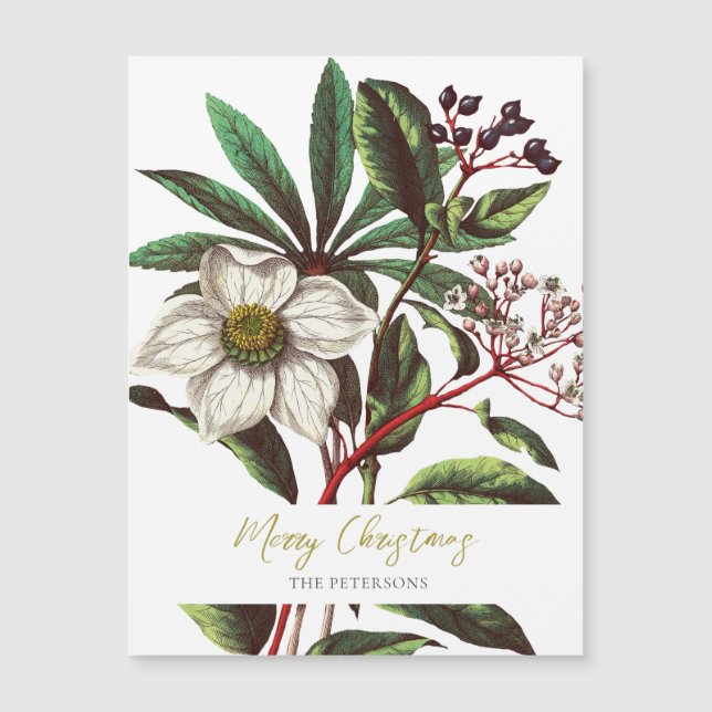 Elegant Vintage Botanical Christmas Rose Flower (Front)