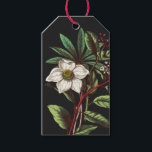 Elegant Vintage Botanical Christmas Rose Flower Gift Tags<br><div class="desc">Vintage botanical Illustration of winter flowers bouquet with Christmas rose and Lauristinus,  very elegant,  sophisticated and classy artwork for a chic romantic home decor and nature or flowers lover.</div>