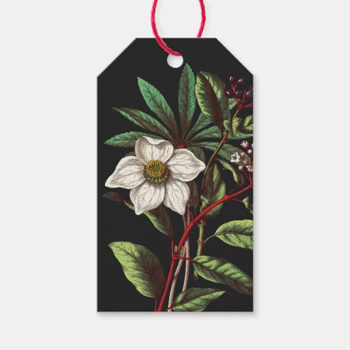 Elegant Vintage Botanical Christmas Rose Flower Gift Tags
