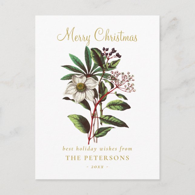 Elegant Vintage Botanical Christmas Rose Flower Postcard (Front)