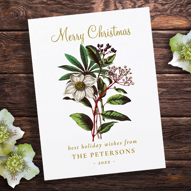 Elegant Vintage Botanical Christmas Rose Flower Postcard (Creator Uploaded)