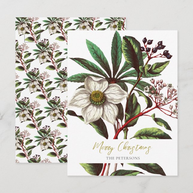 Elegant Vintage Botanical Christmas Rose Flower Postcard (Front/Back)