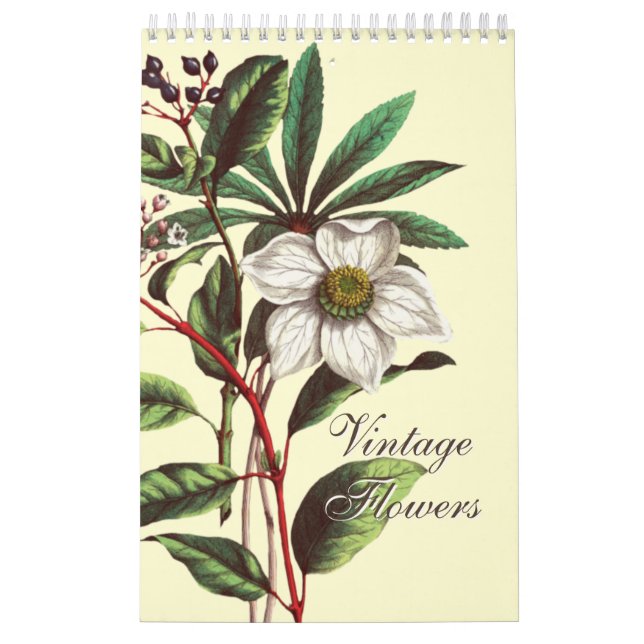 Elegant Vintage Botanical Flower Illustrations  Calendar (Cover)