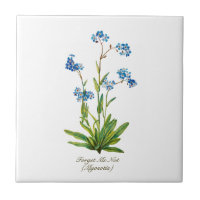 Elegant Vintage Botanical Forget Me Not Flower