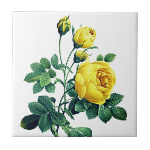 Elegant Vintage Botanical Yellow Rose Ceramic Tile