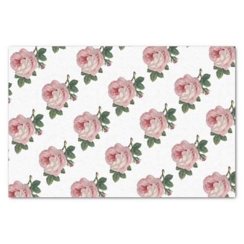 Elegant Vintage Floral Pink Rose Tissue Paper