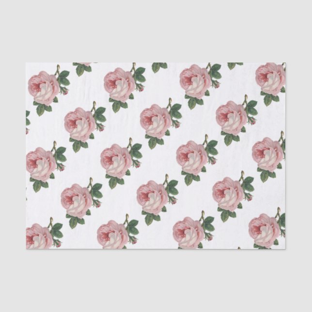 Elegant Vintage Floral Pink Rose Tissue Paper (Front)