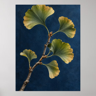 Elegant Vintage Ginkgo Biloba Botanical Wall Art –