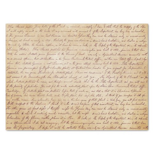 Elegant Vintage Handwritten Letter Script  Tissue Paper
